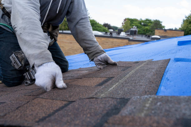 Best Metal Roofing Contractor  in Lake Tansi, TN