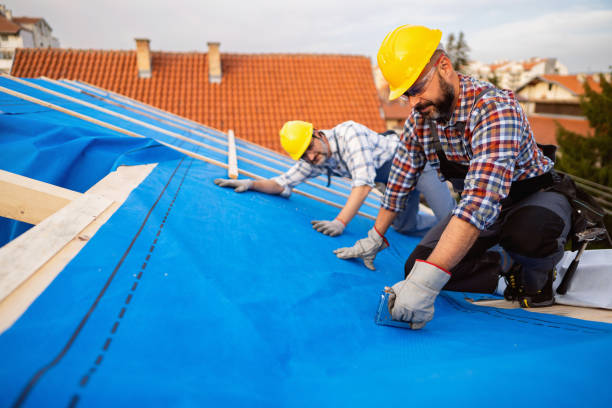 Roof Gutter Cleaning in Lake Tansi, TN
